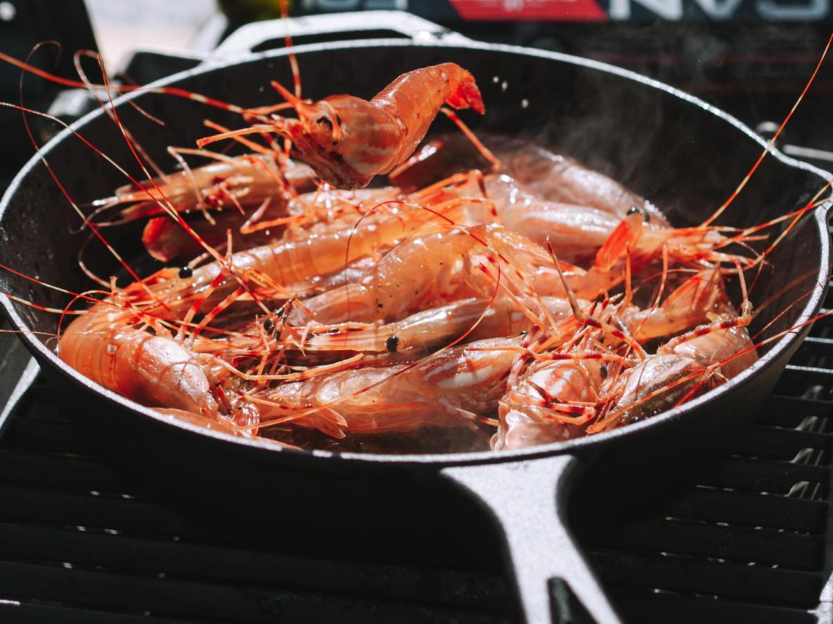 Lunar Cove Inn Charters And Tours 托菲诺 外观 照片