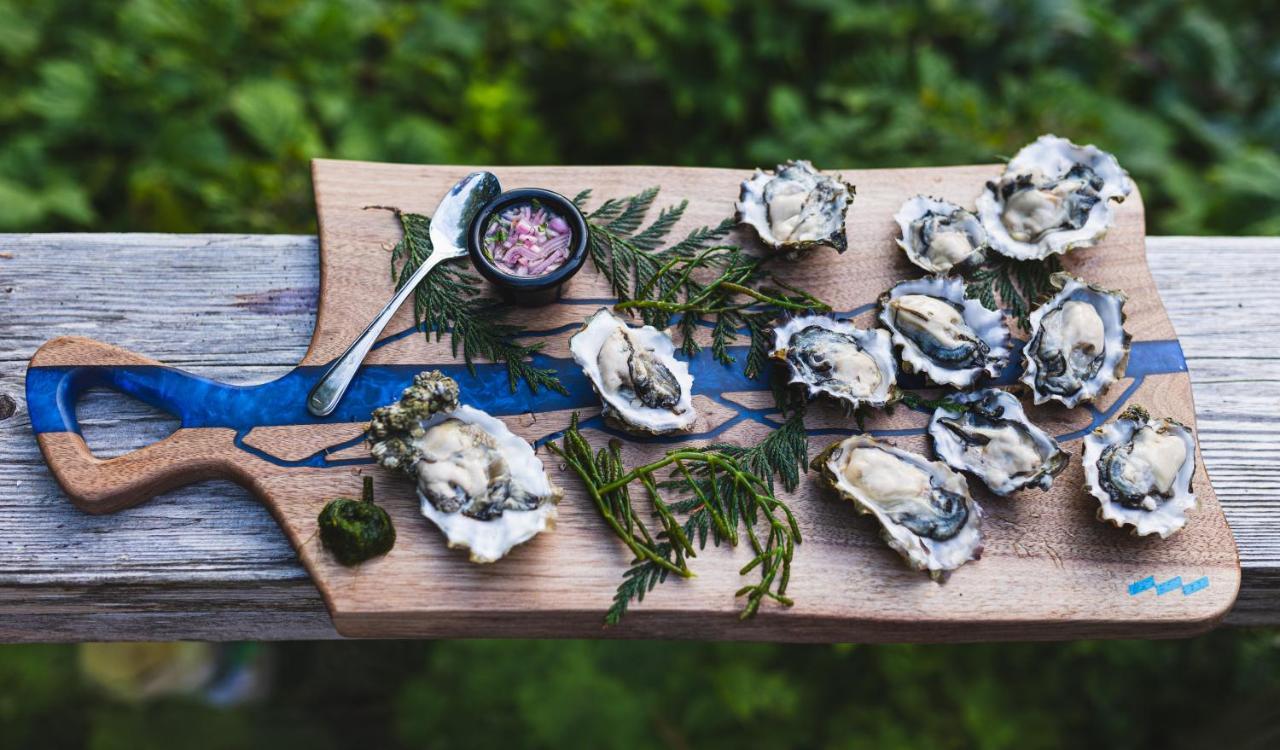 Lunar Cove Inn Charters And Tours 托菲诺 外观 照片