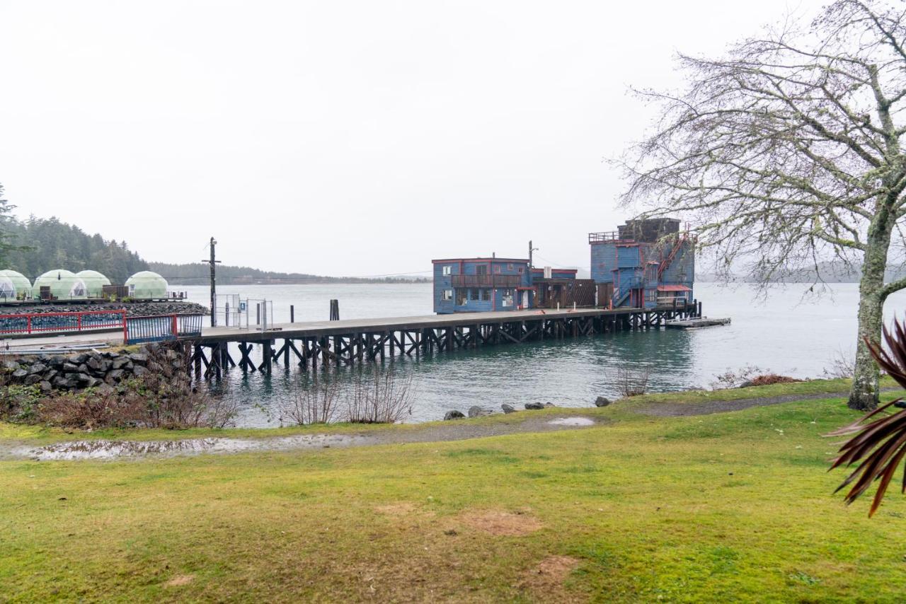 Lunar Cove Inn Charters And Tours 托菲诺 外观 照片